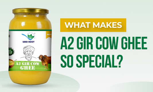 What Makes A2 Gir Cow Ghee So Special?