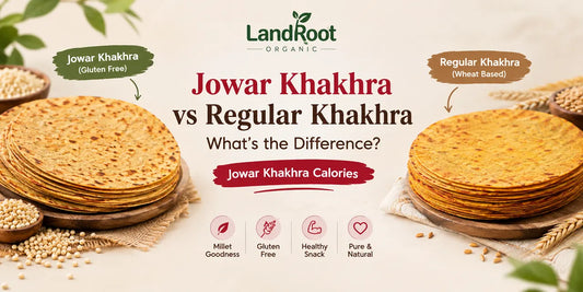 Jowar Khakhra vs Regular Khakhra: What’s the Difference?