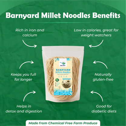 Barnyard Millet Noodles