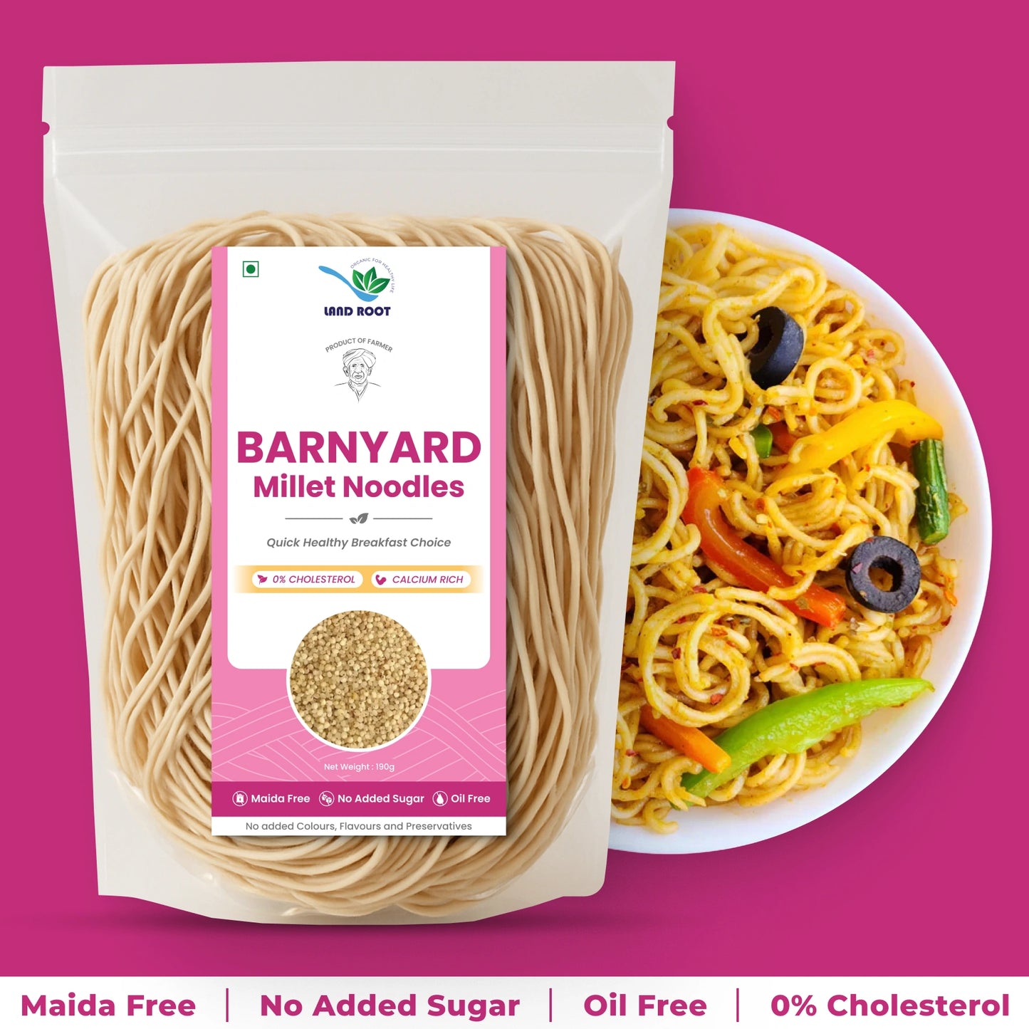 Barnyard Millet Noodles