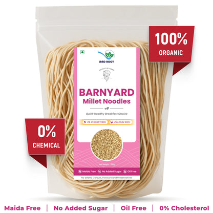 Barnyard Millet Noodles
