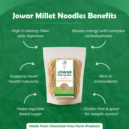Organic Jowar Millet Noodles